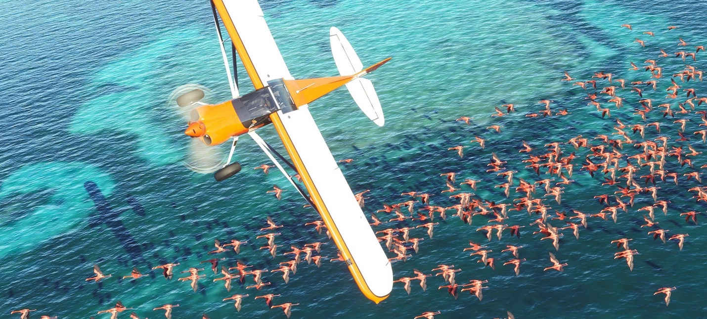 Разнообразие аэропортов и самолетов в новом трейлере Microsoft Flight Simulator