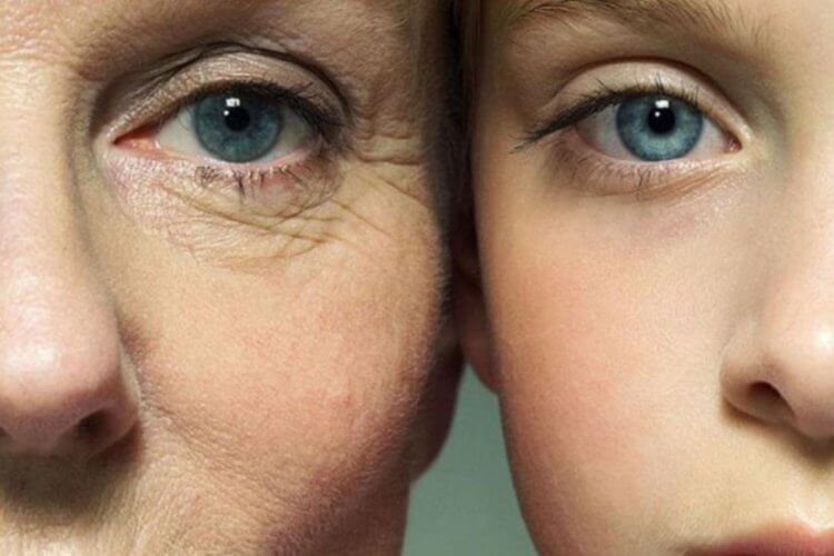 Могут ли биологические добавки замедлить старение?