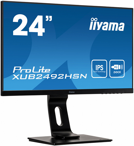 Оснащение монитора iiyama ProLite XUB2492HSN-B1 включает док-станцию