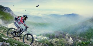 Здоровый организм: как геймерам поддерживать физическую форму