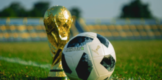 Особенности ставок на спорт для новичков