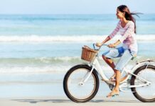 Виды голландских велосипедов