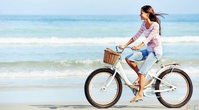 Виды голландских велосипедов