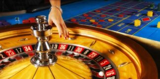 Чем притягивает геймеров Чемпион казино