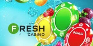 Почему геймерам нравится казино fresh casino
