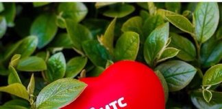 Условия обслуживания и подключения тарифа с номером 8800