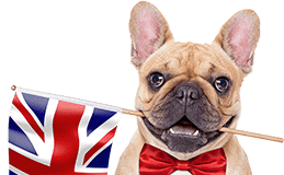 Причины изучить английский программисту из Беларуси: что даст ИТ специалисту поездка за границу