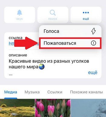 Как сообщить о пользователе в Telegram подав жалобу: подробности