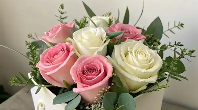 Онлайн-доставка цветов от AzaliaNow: ваш ключ к идеальному подарку