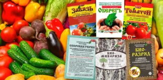 Осеннее удобрение сада и огорода: какие органические подкормки внести для закладки будущего урожая?